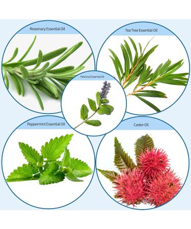 Organic Rosemary Oil for Hair Growth - Essential Hair Oil for Dry Scalp Volume & Shine (1oz 30ml) - International Shipping Available - Buy Online on GoSupps.com