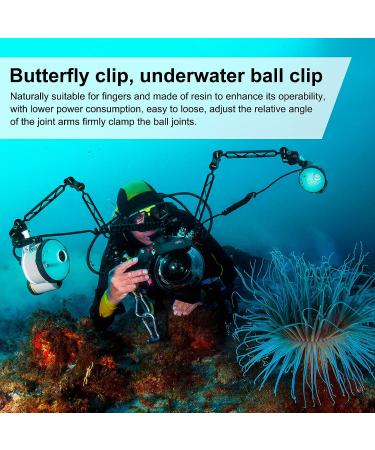 Sea Frogs CP-3 Waterproof Diving Ball Arm Clamp - Lighting Arm System - Buy Online on GoSupps.com