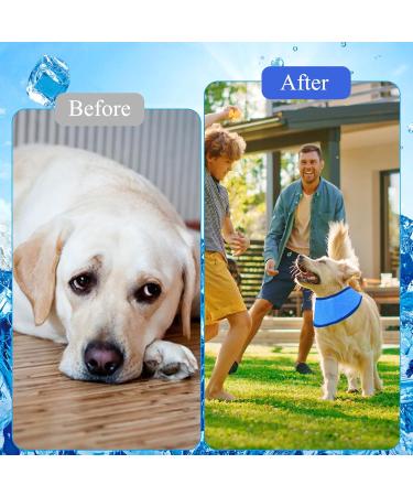 Cooling Collar for Dogs | Breathable Summer Neckerchief for Ultimate Heat Relief - Buy Online on GoSupps.com