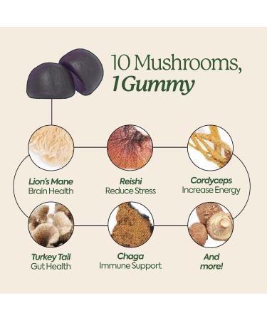 Plant People WonderDay Mushroom Gummies | Daily Multi Support for Whole Body Balance | Mood & Energy Boost | Immune & Gut Health | Natural & Organic Vegan Non-GMO | 60 Count - Buy Online on GoSupps.com