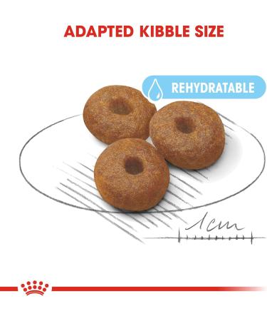 ROYAL CANIN - Maxi Starter Capacity: 4 kg - Buy Online on GoSupps.com