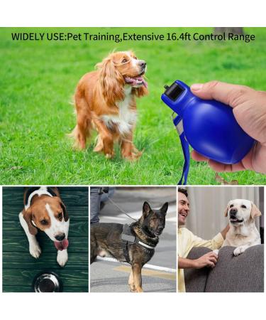 2-Piece Hand Whistle Set - Loud Sports Pipes for Referees Coaches & Dog Trainers | Sports Training Accessories - Buy Online on GoSupps.com