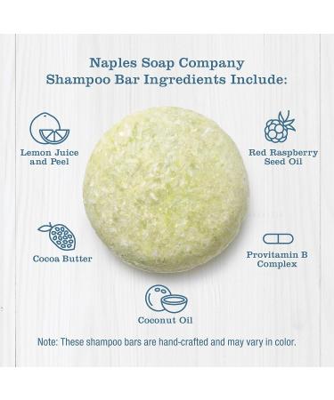 Natural Solid Shampoo Bar | Paraben & Alcohol-Free | Handmade Coconut Lime | pH Balanced | Eco-Friendly Hydrating Haircare | 50-75 Uses - Buy Online on GoSupps.com