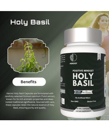 Organic Ginger Holy Basil & Licorice 400 mg 120 Capsules 120 Count (Pack of 1) - Buy Online on GoSupps.com