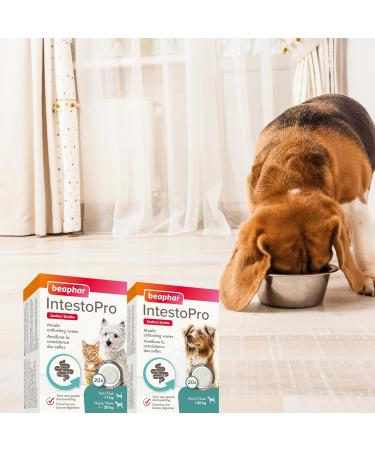 BEAPHAR IntestoPro Tablets to improve stool consistency Promotes Digestion Active Ingredient of Natural Origin for Dogs ( 20 kg) 20 tablets - Buy Online on GoSupps.com