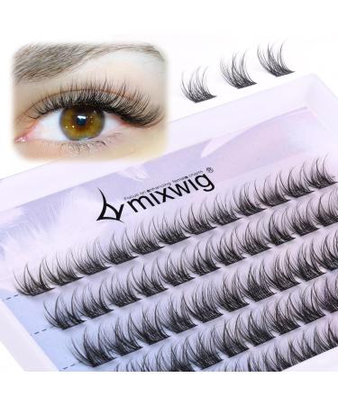 Cluster Lashes Wispy Individual Lashes C Curl Lash Clusters 10-12MM Mixed Lengths Natural Look DIY Eyelash Extensions at Home 49-E-Black