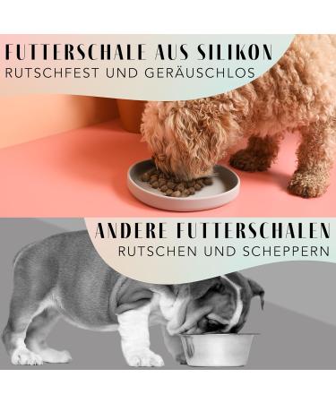 High-Quality NE & NO Food Bowl for Small Dogs & Puppies | Travel-Friendly Silicon Wide Bowl for Dry & Wet Food | Durable Water Bowl - Stone Gray - Buy Online on GoSupps.com