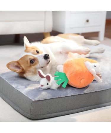 Amazon Basics Hide and Seek Squeaky Dog Plush Toy Rabbit and Carrot Orange and White 5 Count - Buy Online on GoSupps.com