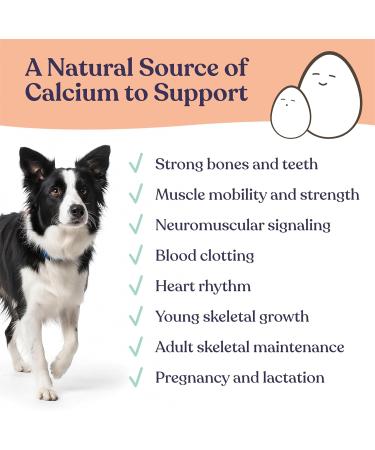 Gentle Creatures Egg Shell Calcium Powder for Pets Ultra Fine 7 oz Highly Absorbable Pet Food Supplement Made in Germany - Buy Online on GoSupps.com