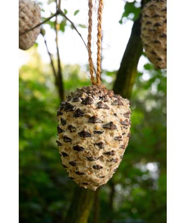 Buy DoBar 24104e Premium Bird Feed Mix | High-Quality Fat-Filled Pine Pins for Wild Birds - All-Year Garden Feed - 8 Large Packs - Buy Online on GoSupps.com