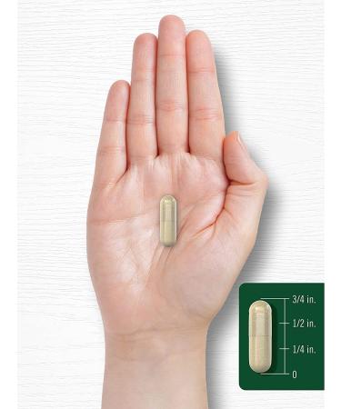 Carlyle Psyllium Husk Capsules 1530mg - 240 Capsules - High Potency Fiber Supplement - Non-GMO & Gluten Free - Buy Online on GoSupps.com