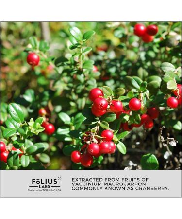 FOLIUS LABS Clean Label Cranberry Extract 25% Urinary Tract Health Support for Men and Women Antioxidant Rich Supplement for Kidney Health (Trial Pack) - Buy Online on GoSupps.com