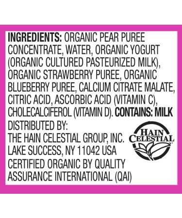 Earth's Best Organic Sesame Street Toddler Fruit Yogurt Smoothie Mixed Berry 4.2 oz Pouch (12 Pack) - Buy Online on GoSupps.com