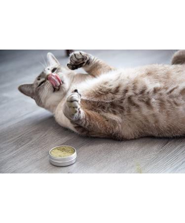 Meowy Janes Catnip Alternative Variety Powder Pack - Catnip Keef, Silvervine, and Valerian Root Powder - Cat Toy Large Tin (60 ml) - Buy Online on GoSupps.com