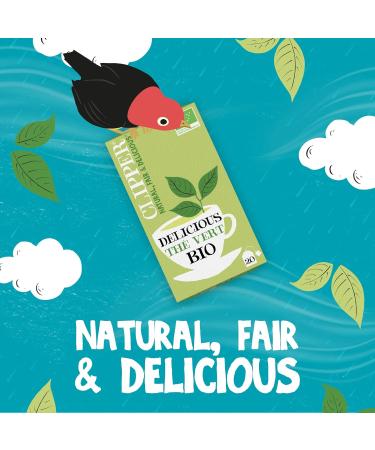 CLIPPER - Organic Green Tea - 20 Organic Tea Bags - 1 Pack - Buy Online on GoSupps.com