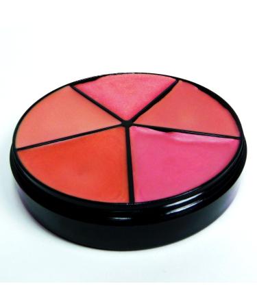 Pure Ziva Natural Nude Pink & Beige Lipstick Palette - 5 Shades, Moisturizing & Paraben-Free - Buy Online on GoSupps.com