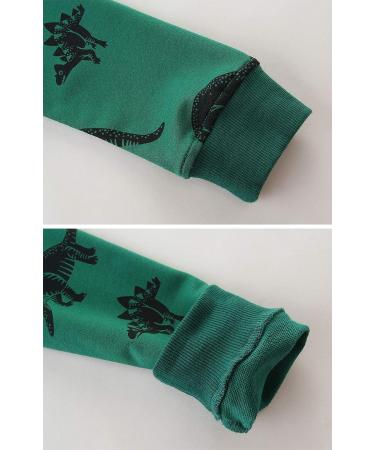 Dinosaur Sweatshirt for Boys | Kids Long Sleeve Cotton Jumper | Toddler Girls Pullover | Baby Clothes 1-8 Years | Green | Size 6-7 - Buy Online on GoSupps.com