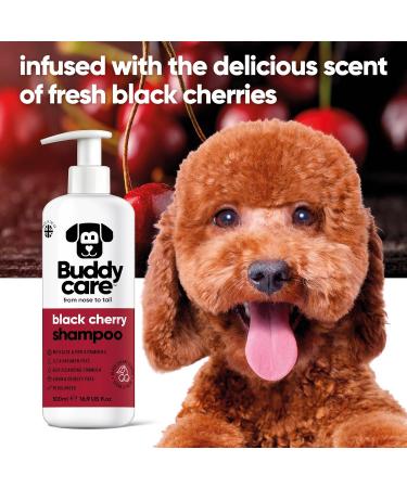 Black Cherry Dog Shampoo | BuddyCare - Deep Cleaning Fruity Fragrance Aloe Vera & Pro-Vitamin B5 (500ml) - International Shipping Available - Buy Online on GoSupps.com