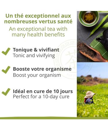  Khla Loose leaf Angkor green tea with ginger and lemongrass - 90g metal tin - Cambodian aromas - Certified organic - Asian tea by KHLA - Buy Online on GoSupps.com