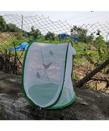 CHICIRIS Butterfly Habitat Pop Up Monarch Butterfly Enclosure Clear Insect Cage Terrarium with Handle 13.2 x 13 x 14.4in - Buy Online on GoSupps.com