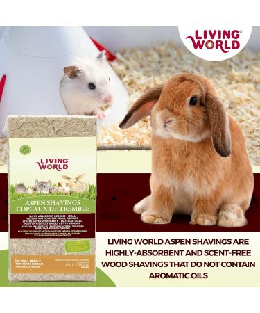 Living World Timothy Hay for Rabbits Guinea Pigs and Small Animals (3 Lb) + Aspen Wood Shavings (1200 Cubic Inches) Timothy Hay + Aspen Shavings - Buy Online on GoSupps.com