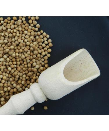 Dulcis Et Salis Coriander 40g Artisan spices Made in Italy. - Buy Online on GoSupps.com