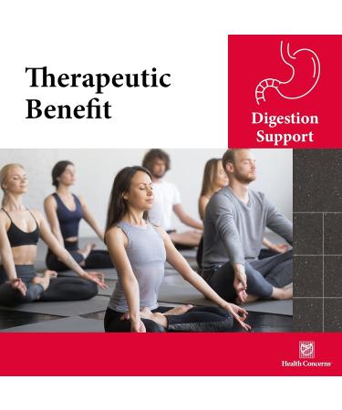 Health Concerns Six Gentlemen Digestive Health & Qi Support Supplement Licorice Root Ginger & Codonopsis Formula Bloating Gas Nausea 90 Capsules Chinese Herbal Medicine 1 Count (Pack of 90) - Buy Online on GoSupps.com