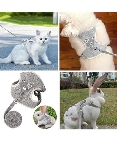 Taicols Adjustable Leash Set for Rabbits & Cats - 120cm Breathable Dishes & Soft Pet Leash for Outdoor Walking - Buy Online on GoSupps.com