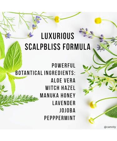 ScalpBliss Itch-Calming Serum | Organic Scalp Moisturizer with Aloe Vera Witch Hazel Manuka Honey & Peppermint Oil Soothes Dry Itchy Scalps Globally - Buy Online on GoSupps.com