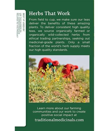 Organic Roasted Dandelion Root Tea - Caffeine Free - 16 Bags | Traditional Medicinals - Buy Online on GoSupps.com