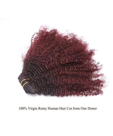Loxxy Afro Kinkys Curly Hair Extensions Clip In - 10 Inch 4B 4C Natural Hair Clip Ins - Virgin Brazilian Human Hair for Black Women - Red Brown Ombre 1B/99J - Buy Online on GoSupps.com