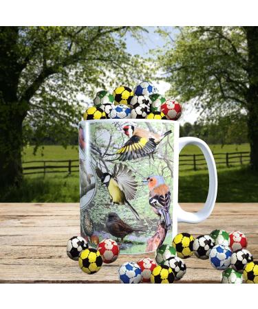 British Garden Birds Mug with Choice of Sweets Gift - Buy Online on GoSupps.com