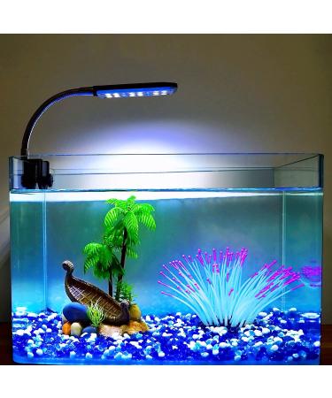 Clip-on Aquarium Light with White and Blue LEDs - Small Fish Tank Lighting 1.5w - Buy Online on GoSupps.com
