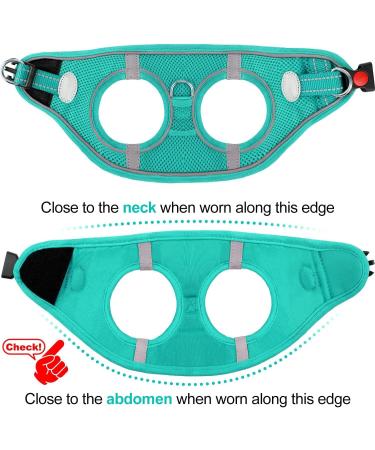 Joyal Dog Harness for Small Dogs - Reflective Soft Padded Air-Mesh Breast Plate | Turquoise Size S (38-42cm) - Buy Online on GoSupps.com