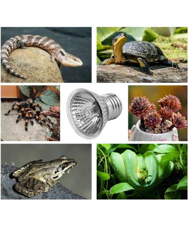 SCNNC E27 Reptile Heating Bulb UVA UVB Bulb Tortoise 50W 230V Dimmable Sunbathe Heat Lamp E27 Reptile Basking Bulb for Bearded Dragon Lizard Snake Gecko Turtle Chameleon Pack of 4 - Buy Online on GoSupps.com