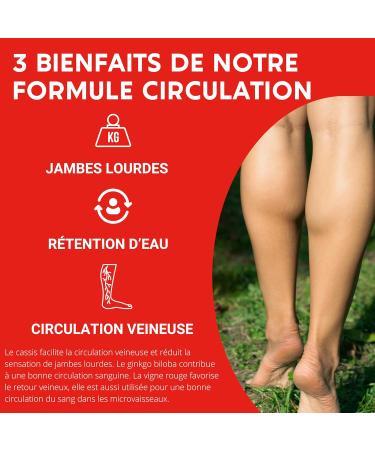 FORMULA CIRCULATION Blood venous | Heavy legs Water retention | Red Vine (highly dose) Blackcurrant Gingko Biloba | 60 capsules | Dietary supplement - Buy Online on GoSupps.com
