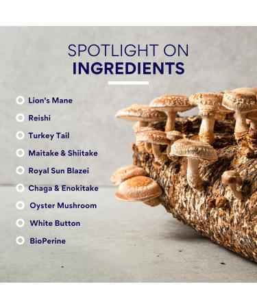 Research Verified Mushroom Complex - Support Immunity, Boost Antioxidants, Improve Cognitive Function - 10 Mushrooms Including Reishi, Maitake, and Shiitake - 60 Capsules - Vegan - Buy Online on GoSupps.com