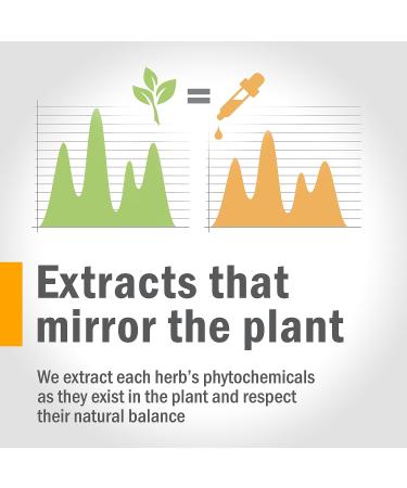 Herb Pharm Stinging Nettle Blend Liquid Extract - 4 oz | Natural Allergy Relief - Buy Online on GoSupps.com