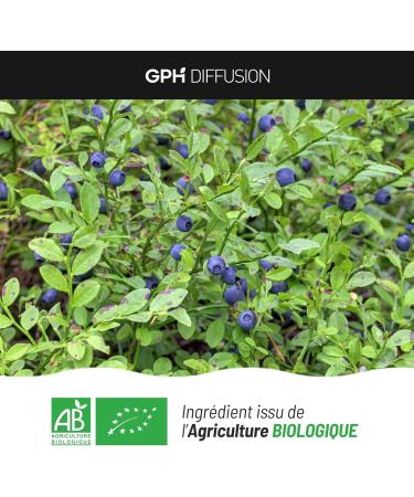 Organic Blueberry Berry -250mg - 200 Vegetable Capsules - Buy Online on GoSupps.com