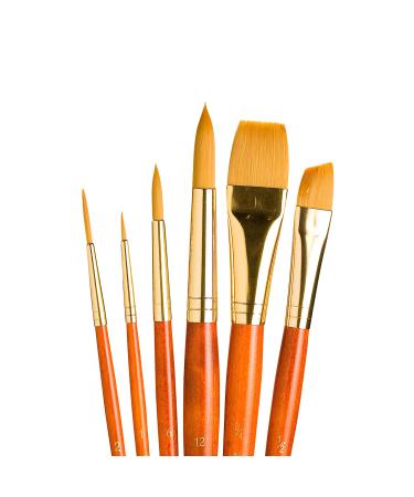 Princeton Real Value  Series 9100  Paint Brush Sets for Acrylic  Oil & Watercolor Painting  Syn-Gold Taklon (Rnd 1  6  12 Liner 2  ANG Shader 1/2  Wash 3/4) - Buy Online on GoSupps.com