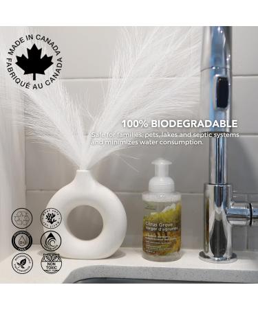 Green Cricket Foaming Hand Wash - 300ml 100% Natural & Vegan | Perfect for individuals with skin sensitivity | No SLS SLES PEG Parabens or Artificial fragrances or colours (Citrus) Citrus 300 ml (Pack of 9) - Buy Online on GoSupps.com