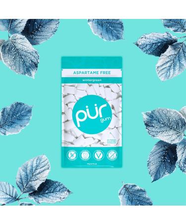 PUR GUM | Sugar-Free Vegan Chewing Gum with Xylitol | Gluten-Free Wintergreen Flavor | 55 Pieces (6-Pack) - Buy Online on GoSupps.com