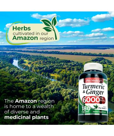 FITO MEDIC'S Lab | Turmeric and Ginger Supplement | 6000 mg | 180 Caps | Ultra high Absorption s. 180 Count (Pack of 1) - Buy Online on GoSupps.com