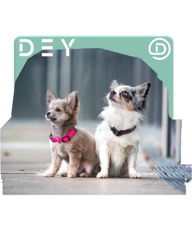 Buy Dey Premium Reflective Dog Collar - Adjustable Nylon for Small & Large Dogs - Multiple Colors & Sizes - Purple S (1.5 x 27-37 cm) - Durable & Stylish Cat & Puppy Neck Strap - Buy Online on GoSupps.com