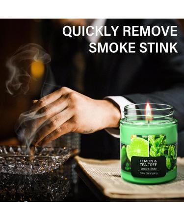 TRINIDa Lemon & Tea Tree Scented Odor Eliminating Candles Gift Set - Premium Natural Soy Candles for Women | Eliminates 99% of Pet, Smoke, & Other Odors Quickly - Buy Online on GoSupps.com