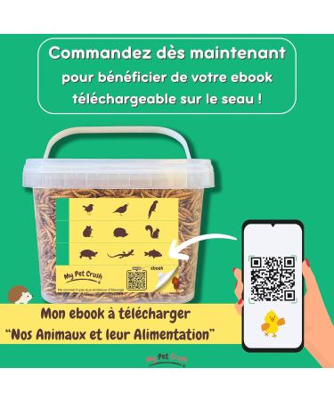 MPC - Dried Mealworms: A High Quality Protein Source for Wild Birds and Reptiles - Food Supplement - Buy Online on GoSupps.com