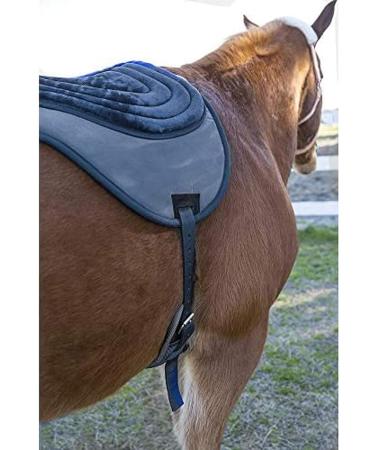 Intrepid International Comfort Plus Bareback Pad - Navy (21-3/4 x 22) - Buy Online on GoSupps.com