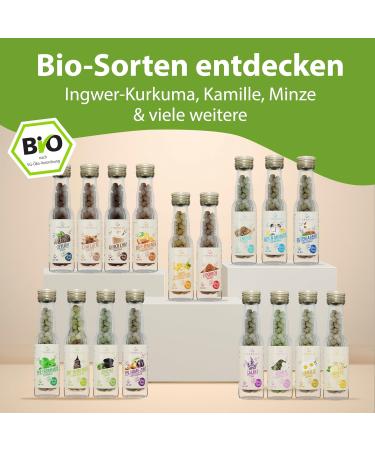  Teaballs ORGANIC TEABALLS - Pack of 3 - Feel Good - Ginger Turmeric Orange - Good morning chai latte for approximately 120 cups of tea - Buy Online on GoSupps.com