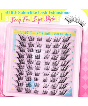 ALICE Natural Lash Clusters - DIY Eyelash Extensions | Wispy 3D Cat Eye C Curl Individual Lashes - Buy Online on GoSupps.com