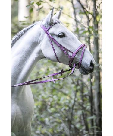 Indira Bridle Pro - Full Warmblood Size Pink 01 | Premium Quality Equestrian Gear for International Shipping - Buy Online on GoSupps.com